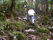Highest peak in El Yunque