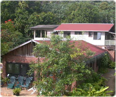 The rainforestinn from the entrance