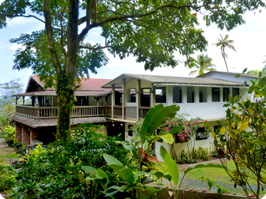 The rainforestinn from the entrance