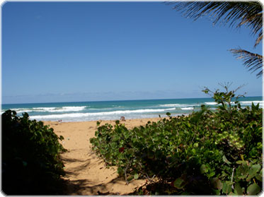 Luquillo Beach nature preserve