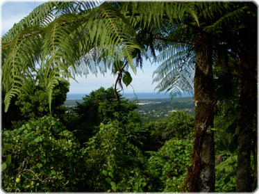View of Luquillo Beach from the El Yunque rainforest inn