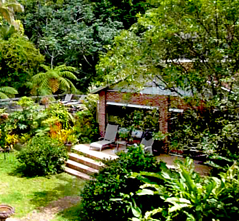 the rainforest inn just after hurricane damage