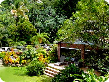 Rainforest Inn Villa